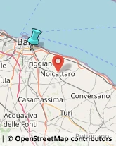 Ricerca e Selezione del Personale,70125Bari