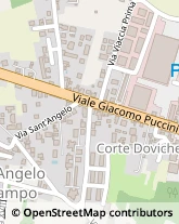 Viale Giacomo Puccini, 1809,55100Lucca