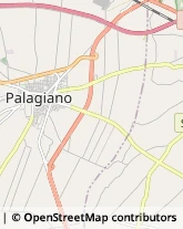 Viale Chiatona, 14,74019Palagiano