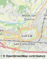 Via Nazario Sauro, 118,55100Lucca