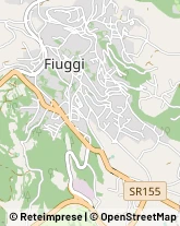 Via delle Magnolie, 10,03014Fiuggi