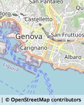 Via Eugenia Ravasco, 4-1,16128Genova