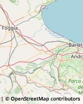 Via Giovanni Bovio, 65,70053Canosa di Puglia