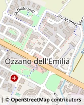 Via Emilia, 172,40064Ozzano dell'Emilia