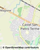 Via Scania, 1159,40024Castel San Pietro Terme