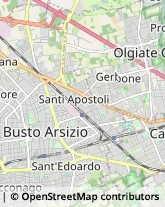 Via Avvocato Camillo Tosi, 6,21052Busto Arsizio