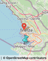 Articoli da Regalo - Dettaglio,34015Trieste