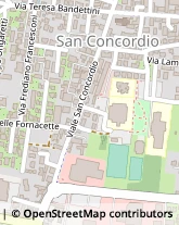 Viale San Concordio, 531,55100Lucca