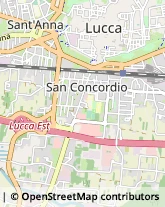 Via delle Tagliate Traversa I, 14,55100Lucca