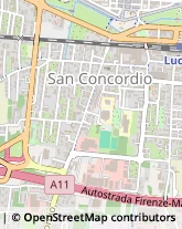 Consulenza Informatica,55100Lucca