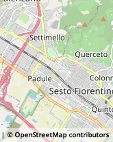 Pelli e Pellami - Produzione e Vendita,50041Firenze