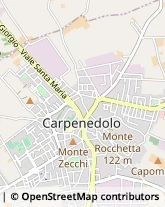 Via Cesare Deretti, 33,25013Carpenedolo