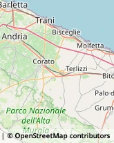 Carne - Lavorazione e Commercio,76011Barletta-Andria-Trani