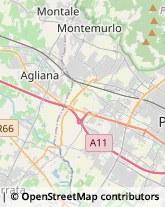 Autotrasporti,59013Prato