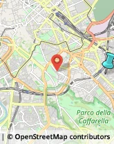 Palestre e Centri Fitness,00181Roma