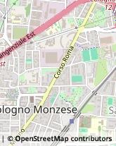 Via Francesco Petrarca, 31,20093Cologno Monzese