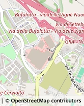 Via Carlo Ludovico Bragaglia, 58,00139Roma