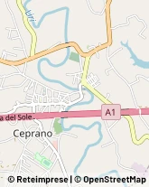 Corso Vittorio Emanuele, 45,03024Ceprano