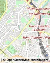 Via Foglia, 3,00199Roma