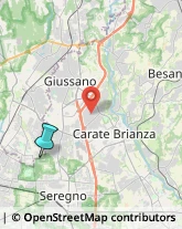 Giardinaggio - Servizio,20831Monza e Brianza