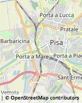 Trasporto Pubblico,56121Pisa