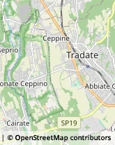 Locali, Birrerie e Pub,21049Varese