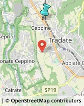 Locali, Birrerie e Pub,21049Varese