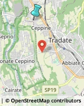 Impianti Sportivi,21049Varese