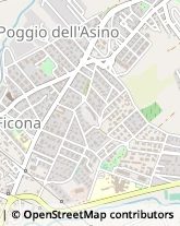 Via della Lega, 61,00052Cerveteri