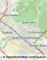 Via Ippolito Nievo, ,50019Sesto Fiorentino