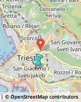 Asili Nido,34137Trieste