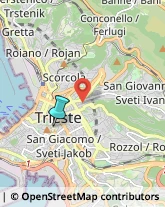 Licei - Scuole Private,34131Trieste