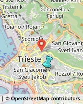 Asili Nido,34141Trieste