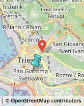 Asili Nido,34137Trieste