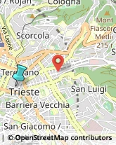 Licei - Scuole Private,34122Trieste