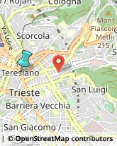 Licei - Scuole Private,34133Trieste