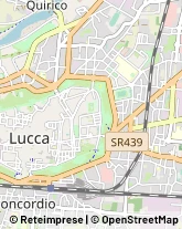 Via Angelo Orzali, 50,55100Lucca