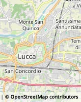 Via Pesciatina, 173,55010Lucca