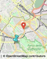 Palestre e Centri Fitness,00147Roma