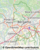 Analisi Cliniche - Medici Specialisti,24050Bergamo