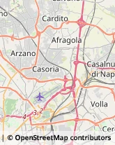 Viale delle Industrie, 28,80020Casavatore