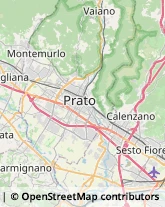 Via Orindo Pieri, 11/13,59100Prato