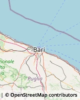 Tappeti Orientali e Persiani,70014Bari