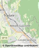 Locali, Birrerie e Pub,21049Varese