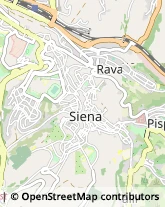 Via Banchi di Sopra, 27,53100Siena