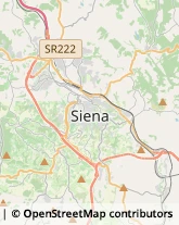 Pietre Preziose,53100Siena