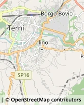 Autotrasporti,05100Terni