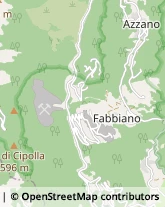 Fabbri,55047Lucca