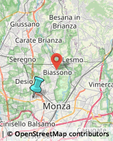 Agopuntura,20835Monza e Brianza