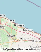 Associazioni e Federazioni Sportive,76125Barletta-Andria-Trani